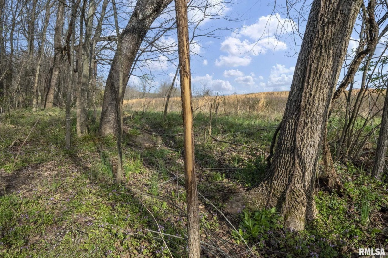60 HARRIS Lane, Brookport, Illinois 62910, 0 , 0 ,0,Land,For Sale,HARRIS,0,RMAEB457419