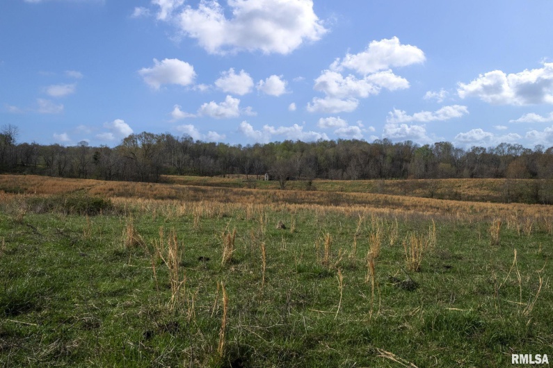 60 HARRIS Lane, Brookport, Illinois 62910, 0 , 0 ,0,Land,For Sale,HARRIS,0,RMAEB457419