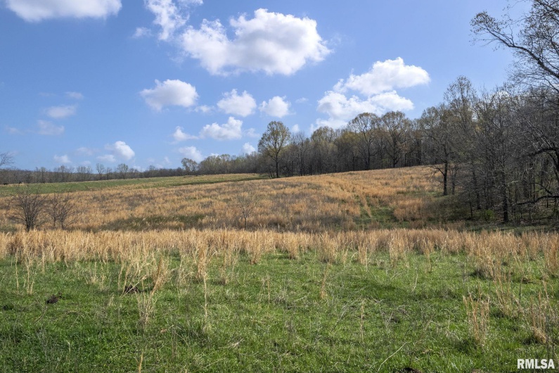 60 HARRIS Lane, Brookport, Illinois 62910, 0 , 0 ,0,Land,For Sale,HARRIS,0,RMAEB457419