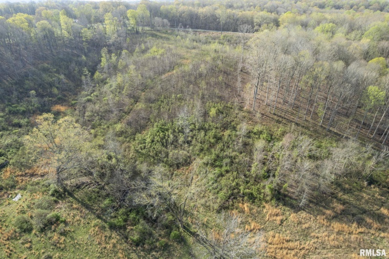 60 HARRIS Lane, Brookport, Illinois 62910, 0 , 0 ,0,Land,For Sale,HARRIS,0,RMAEB457419