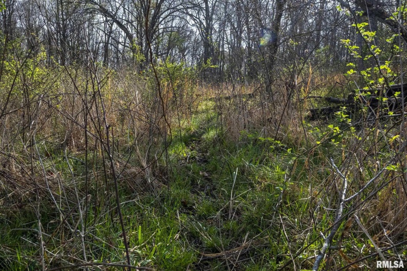 60 HARRIS Lane, Brookport, Illinois 62910, 0 , 0 ,0,Land,For Sale,HARRIS,0,RMAEB457419