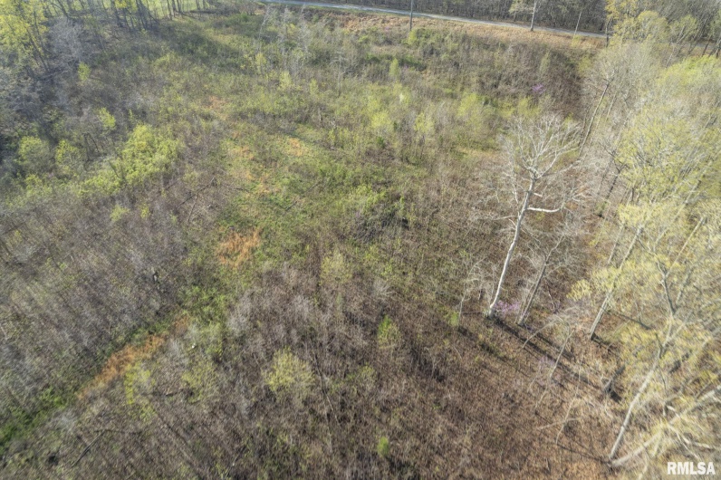 60 HARRIS Lane, Brookport, Illinois 62910, 0 , 0 ,0,Land,For Sale,HARRIS,0,RMAEB457419