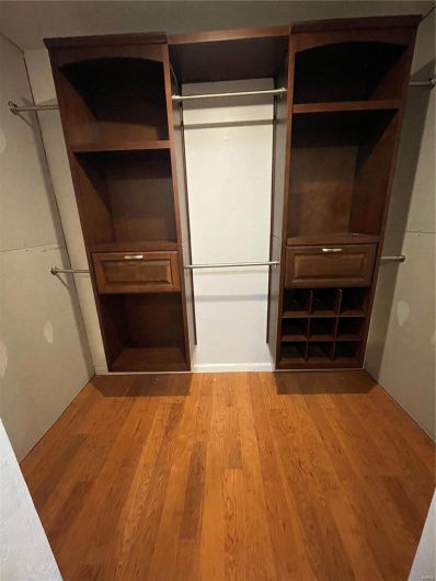 primary walk-in closet
