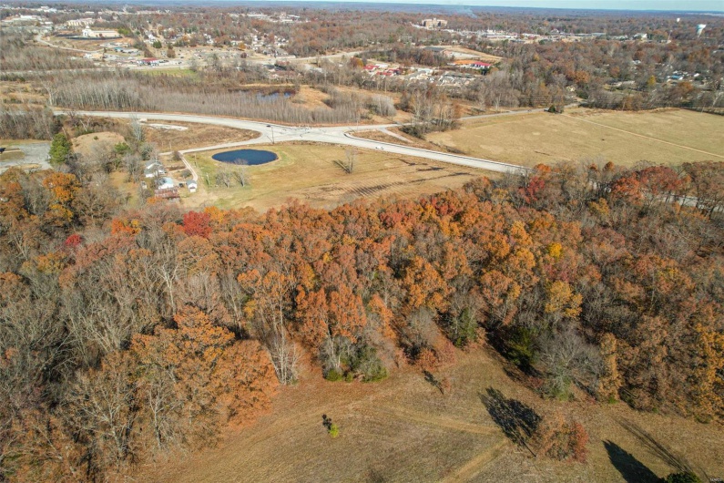 2462 Roxie Road, Poplar Bluff, Missouri 63901, 4 Bedrooms Bedrooms, 12 Rooms Rooms,3 BathroomsBathrooms,Farm,For Sale,Roxie,MAR25021561