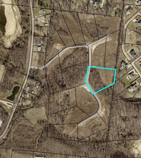 8 County Road 205, Cape Girardeau, Missouri 63701, ,Land,For Sale,County Road 205,MAR25021943