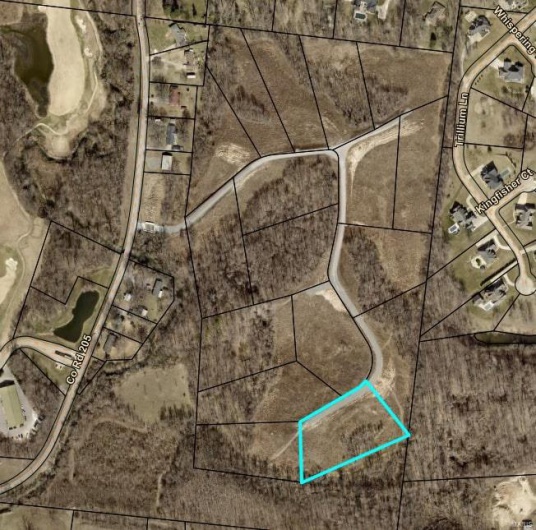 10 County Road 205, Cape Girardeau, Missouri 63701, ,Land,For Sale,County Road 205,MAR25021952