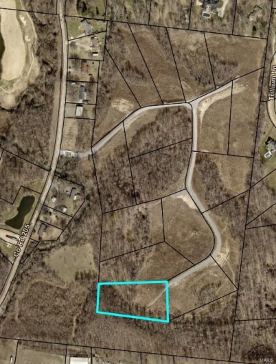 11 County Road 205, Cape Girardeau, Missouri 63701, ,Land,For Sale,County Road 205,MAR25021956