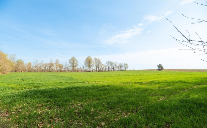 123 County Road 639, Dexter, Missouri 63841, ,Farm,For Sale,County Road 639,MAR25022046