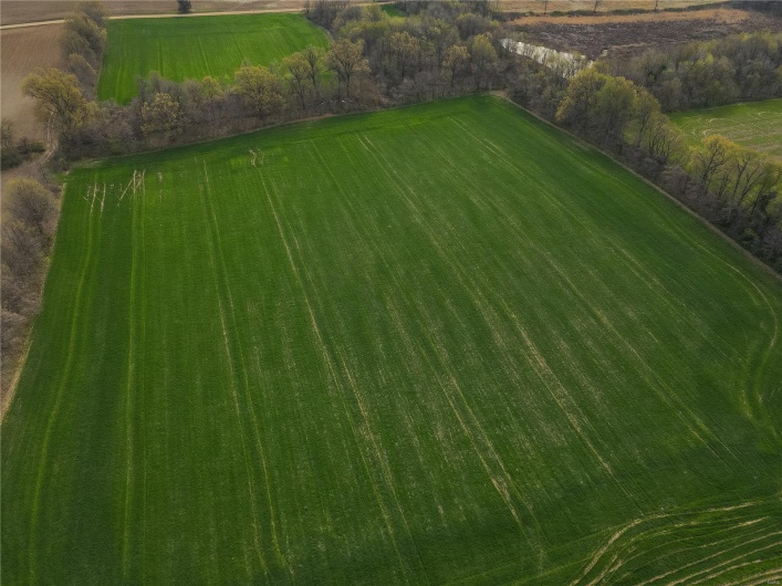 123 County Road 639, Dexter, Missouri 63841, ,Farm,For Sale,County Road 639,MAR25022046