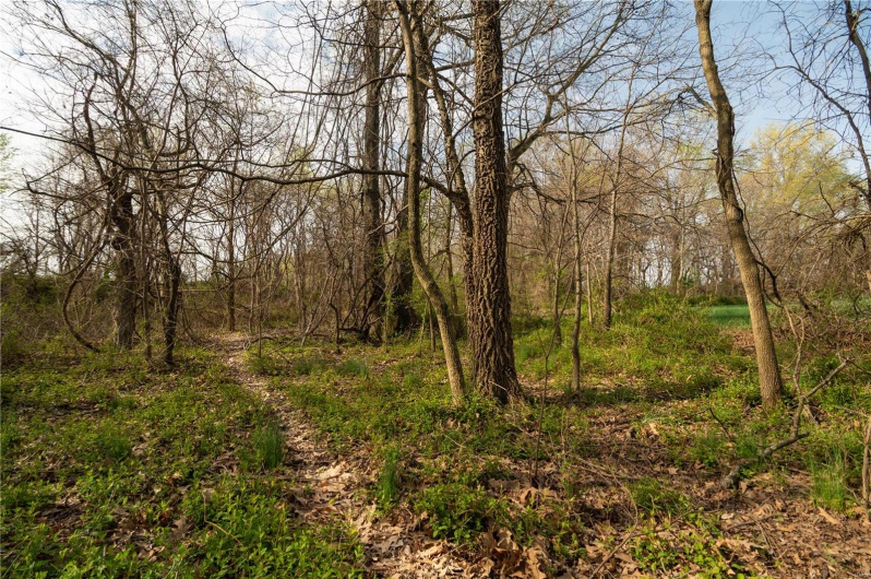 123 County Road 639, Dexter, Missouri 63841, ,Farm,For Sale,County Road 639,MAR25022046