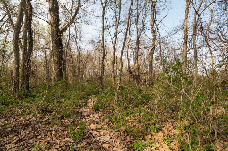123 County Road 639, Dexter, Missouri 63841, ,Farm,For Sale,County Road 639,MAR25022046