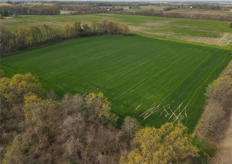 123 County Road 639, Dexter, Missouri 63841, ,Farm,For Sale,County Road 639,MAR25022046