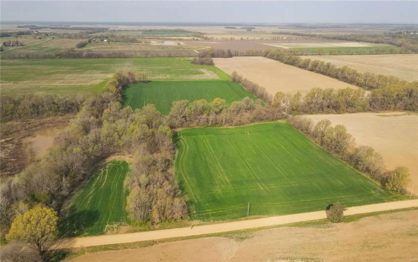 123 County Road 639, Dexter, Missouri 63841, ,Farm,For Sale,County Road 639,MAR25022046