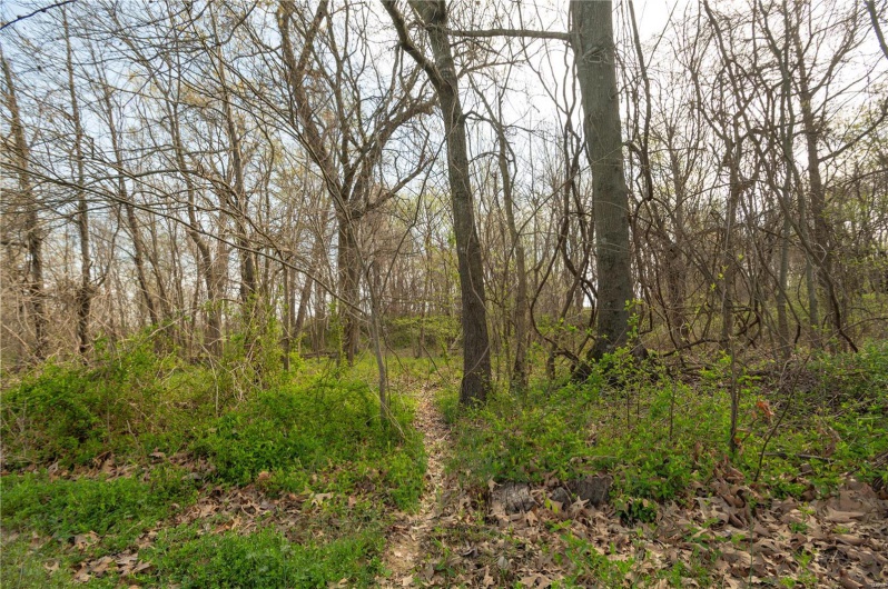 123 County Road 639, Dexter, Missouri 63841, ,Farm,For Sale,County Road 639,MAR25022046