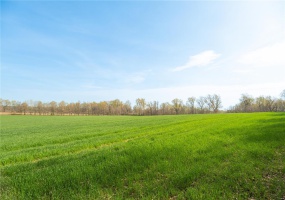123 County Road 639, Dexter, Missouri 63841, ,Farm,For Sale,County Road 639,MAR25022046