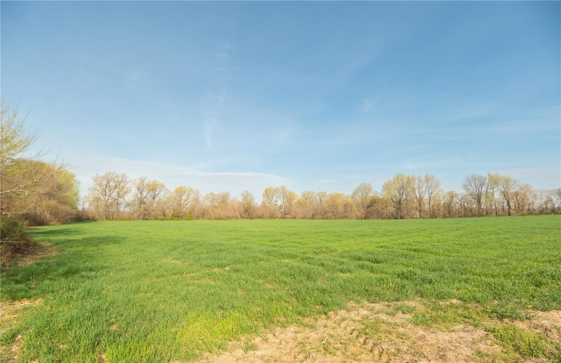 123 County Road 639, Dexter, Missouri 63841, ,Farm,For Sale,County Road 639,MAR25022046