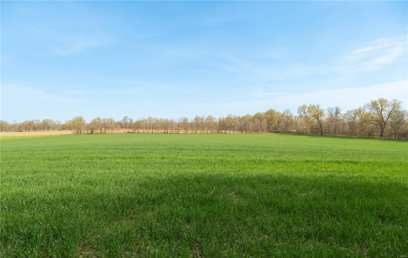 123 County Road 639, Dexter, Missouri 63841, ,Farm,For Sale,County Road 639,MAR25022046