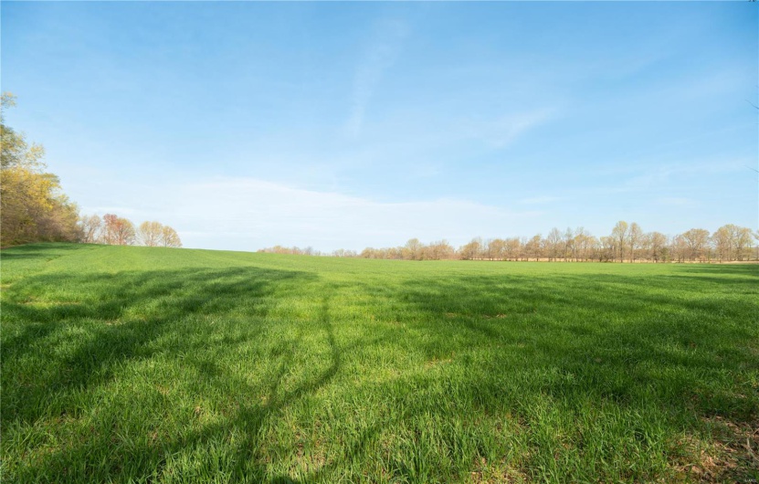 123 County Road 639, Dexter, Missouri 63841, ,Farm,For Sale,County Road 639,MAR25022046