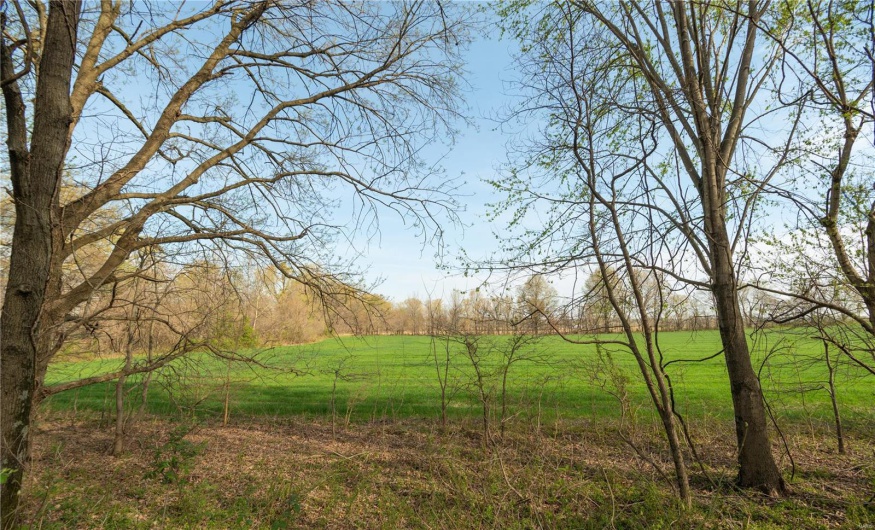 123 County Road 639, Dexter, Missouri 63841, ,Farm,For Sale,County Road 639,MAR25022046