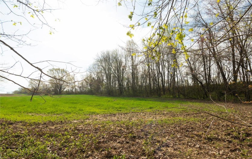 123 County Road 639, Dexter, Missouri 63841, ,Farm,For Sale,County Road 639,MAR25022046