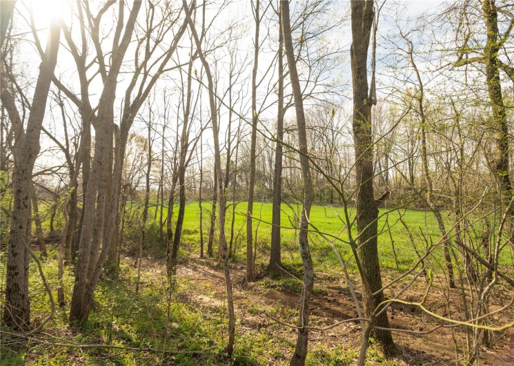 123 County Road 639, Dexter, Missouri 63841, ,Farm,For Sale,County Road 639,MAR25022046