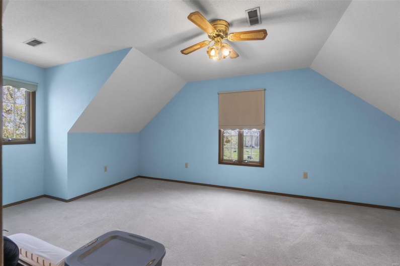 Additional living space with ceiling fan, carpet floors, lofted ceiling, and visible vents