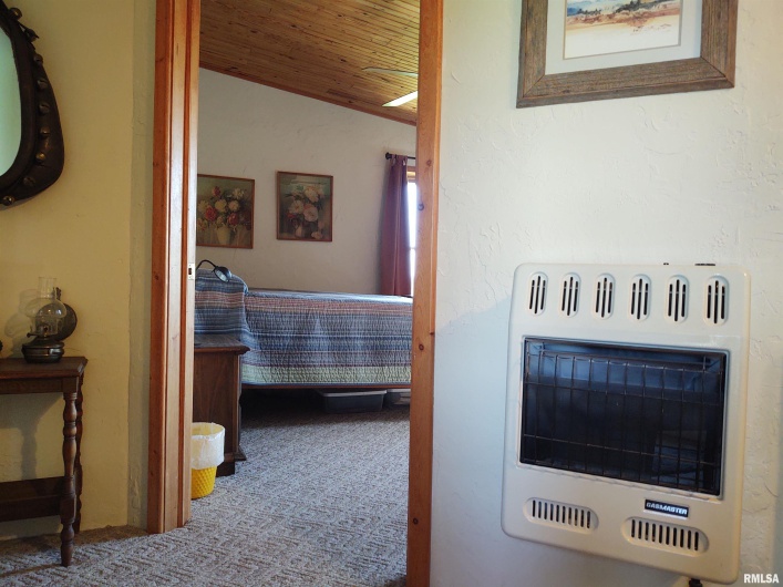 29 BRIDLE Lane, Stonefort, Illinois 62987, 2 Bedrooms Bedrooms, 0 ,2 BathroomsBathrooms,Residential,For Sale,BRIDLE,0,RMAEB457466