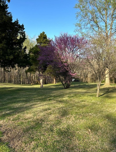 18273 Thomas Drive, Dexter, Missouri 63841, 3 Bedrooms Bedrooms, 8 Rooms Rooms,2 BathroomsBathrooms,Residential,For Sale,Thomas,MAR25021164