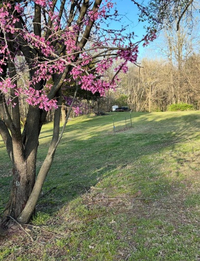 18273 Thomas Drive, Dexter, Missouri 63841, 3 Bedrooms Bedrooms, 8 Rooms Rooms,2 BathroomsBathrooms,Residential,For Sale,Thomas,MAR25021164