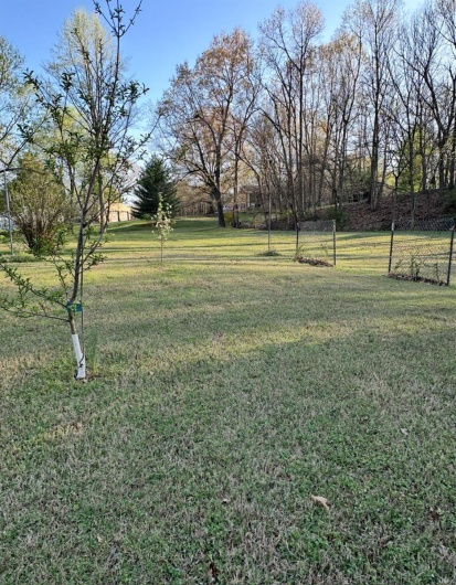 18273 Thomas Drive, Dexter, Missouri 63841, 3 Bedrooms Bedrooms, 8 Rooms Rooms,2 BathroomsBathrooms,Residential,For Sale,Thomas,MAR25021164