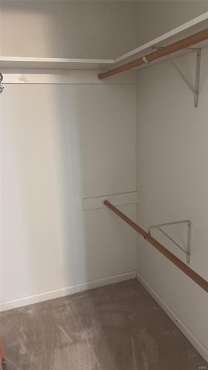 Walk in closet featuring carpet