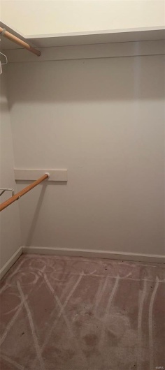 Walk in closet with carpet