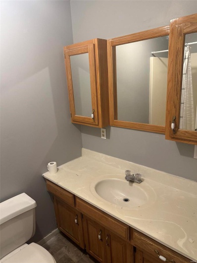 19203 Wayne Route D, Wappapello, Missouri 63966, ,Residential Income,For Sale,Wayne Route D,MAR25022429