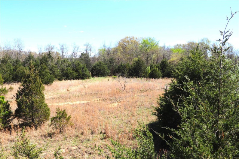 1100 Cinque Hommes Drive, Perryville, Missouri 63775, ,Commercial Sale,For Sale,Cinque Hommes,MAR24025221