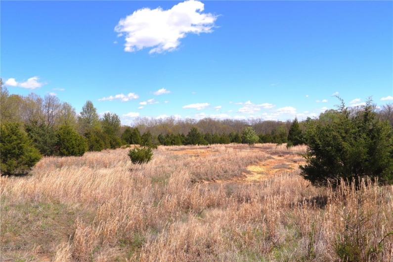 1100 Cinque Hommes Drive, Perryville, Missouri 63775, ,Commercial Sale,For Sale,Cinque Hommes,MAR24025221