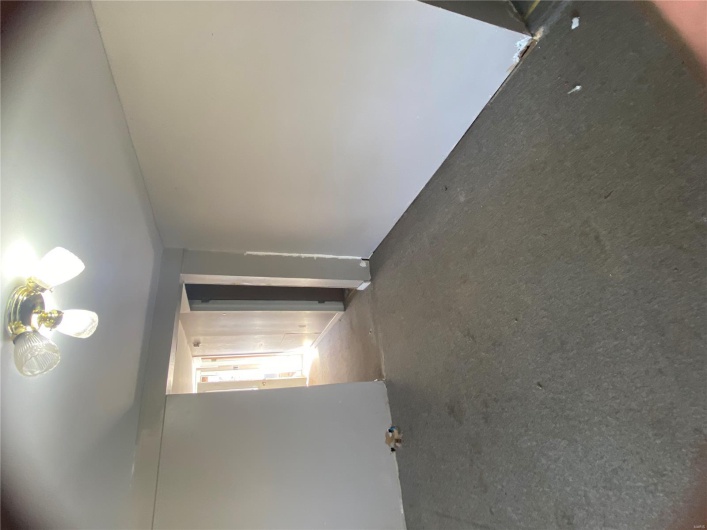 Unfurnished room featuring carpet