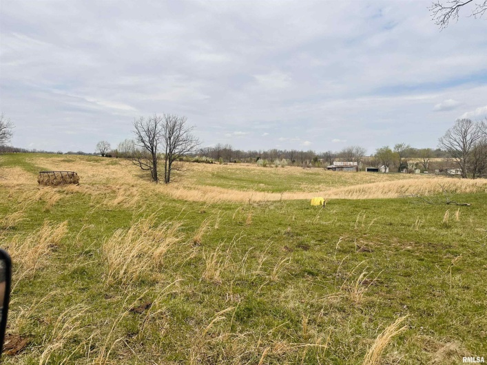 2305 US Hwy 51 S Loop, Anna, Illinois 62906, 0 , 0 ,0,Land,For Sale,US Hwy 51 S,0,RMAQC4262176