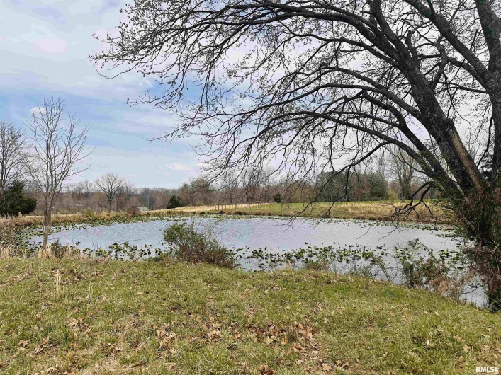 2305 US Hwy 51 S Loop, Anna, Illinois 62906, 0 , 0 ,0,Land,For Sale,US Hwy 51 S,0,RMAQC4262176