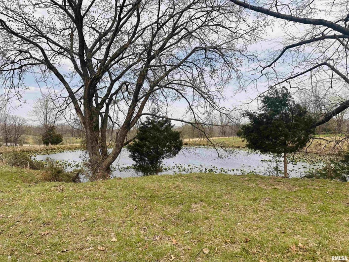 2305 US Hwy 51 S Loop, Anna, Illinois 62906, 0 , 0 ,0,Land,For Sale,US Hwy 51 S,0,RMAQC4262176