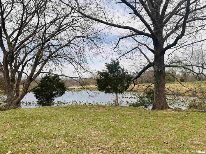 2305 US Hwy 51 S Loop, Anna, Illinois 62906, 0 , 0 ,0,Land,For Sale,US Hwy 51 S,0,RMAQC4262176