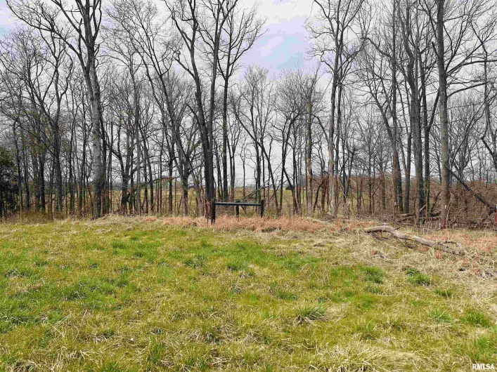 2305 US Hwy 51 S Loop, Anna, Illinois 62906, 0 , 0 ,0,Land,For Sale,US Hwy 51 S,0,RMAQC4262176