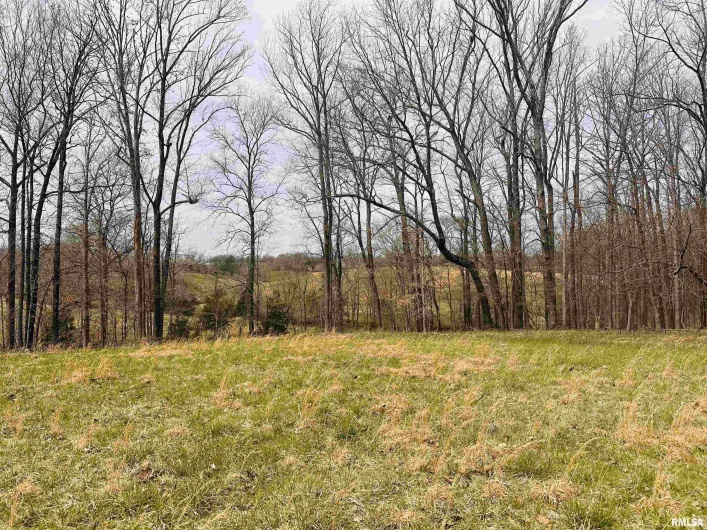 2305 US Hwy 51 S Loop, Anna, Illinois 62906, 0 , 0 ,0,Land,For Sale,US Hwy 51 S,0,RMAQC4262176