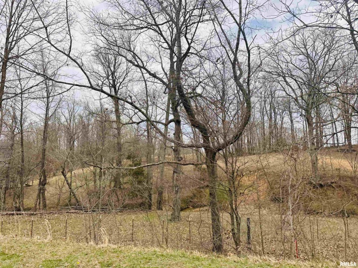 2305 US Hwy 51 S Loop, Anna, Illinois 62906, 0 , 0 ,0,Land,For Sale,US Hwy 51 S,0,RMAQC4262176