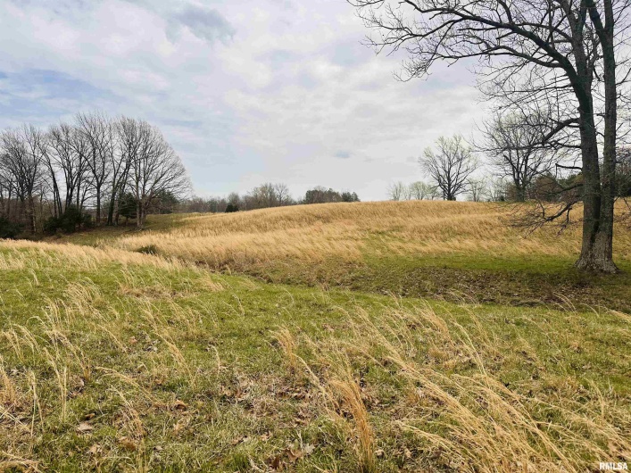2305 US Hwy 51 S Loop, Anna, Illinois 62906, 0 , 0 ,0,Land,For Sale,US Hwy 51 S,0,RMAQC4262176