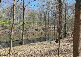 TBD JACKSON Street, Carterville, Illinois 62918, 0 , 0 ,0,Land,For Sale,JACKSON,0,RMAQC4262177