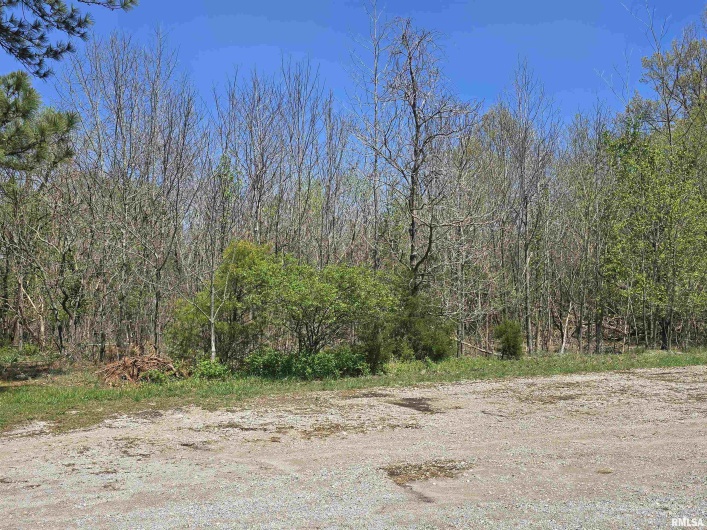 TBD JACKSON Street, Carterville, Illinois 62918, 0 , 0 ,0,Land,For Sale,JACKSON,0,RMAQC4262177