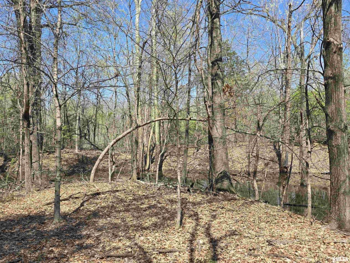 TBD JACKSON Street, Carterville, Illinois 62918, 0 , 0 ,0,Land,For Sale,JACKSON,0,RMAQC4262177