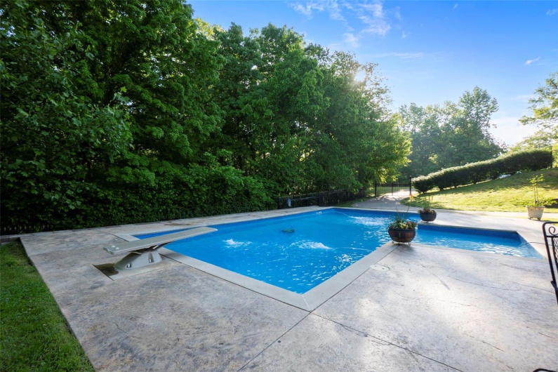 Beautiful Jetted, Saltwater Pool