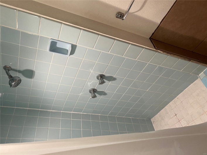 Basement Bathroom
