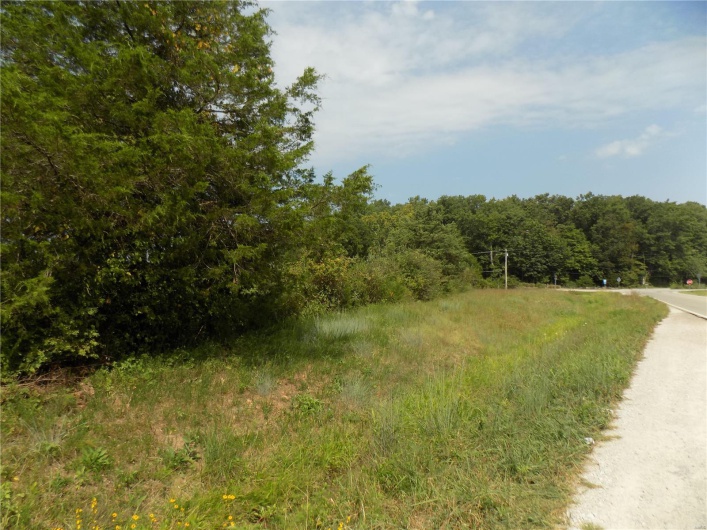 2100 Highway "E", Hwy, Ironton, Missouri 63650, ,Land,For Sale,Highway "E",MAR25022949